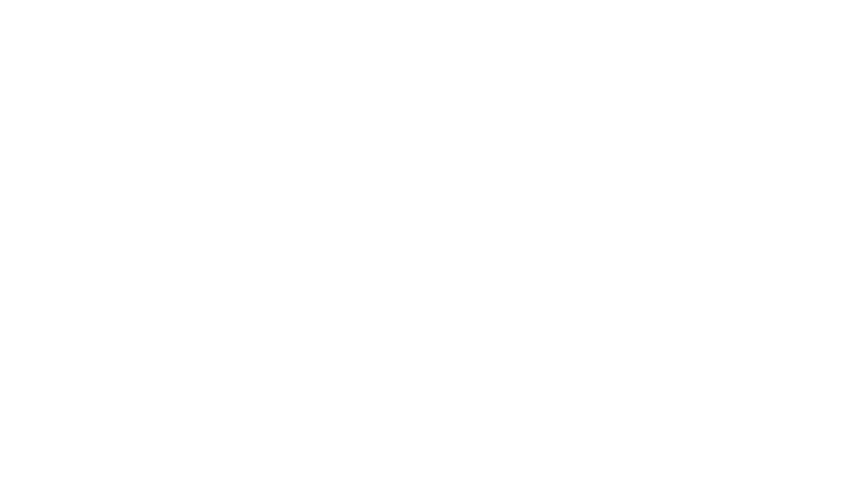 Company logo and supporting text, Ravelin Pointe Capital Advisors
